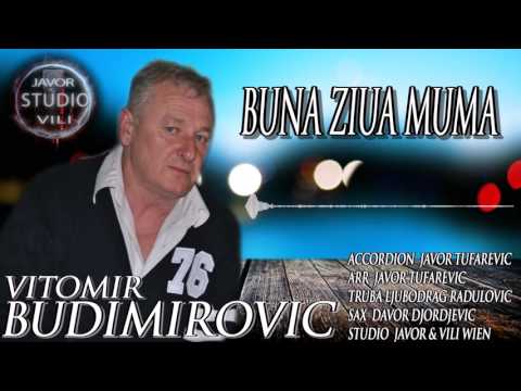 Vitomir  Budimirovic BUNA ZIUA MUMA