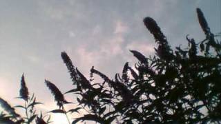 Freundeskreis - Halt  dich an deiner Liebe fest