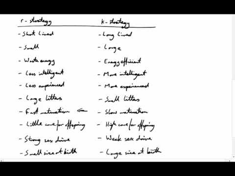 r-Strategy and K-Strategy Species
