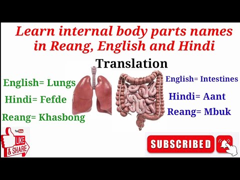 Learn Internal Body Parts Names Translation in three languages  in Hindi, English and Reang( Bru)
