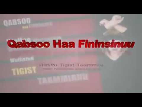"NEW OROMO MUSIC" Tigist taamiruu - Qabsoo haa finiinuu 2016