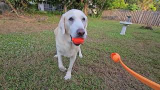 Hamish loves chilly mornings