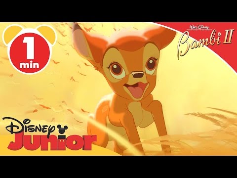 Bambi II | The Dream | @disneykids