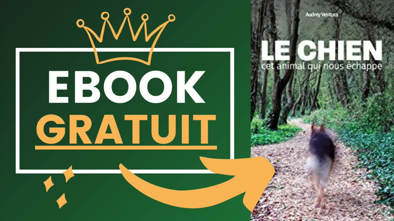 Le Chien cet Animal qui Nous Echappe - Audrey Ventura - Ebook Gratuit