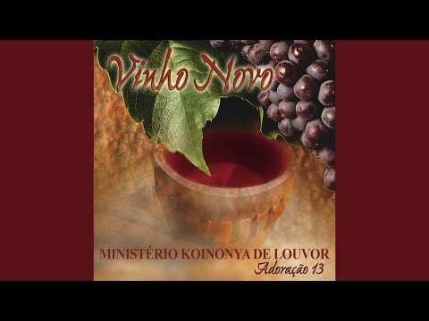 Invencível video