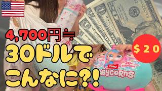 日本なら4,700円($30)で何が買える?アメリカと比べたら!?