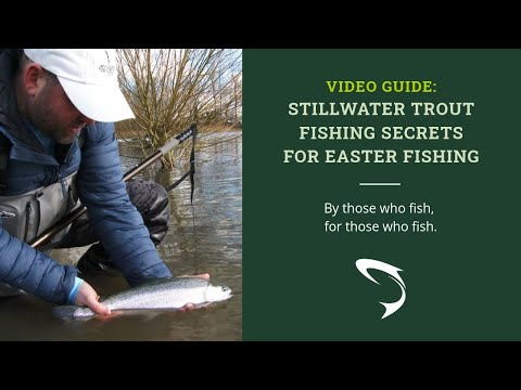 How to Catch a Trout This Spring - Our Top Tips, Advice & Secrets!