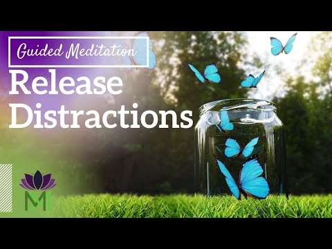 10 Minute Morning Meditation For Peace Of Mind Mindful Movement