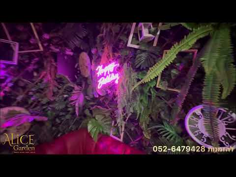 תמונה של Alice Garden