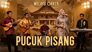 Download lagu Pucuk Pisang - Orkes Melayu - Cover Lagu Melayu mp3 Download lagu Pucuk Pisang - Orkes Melayu - Cover Lagu Melayu mp3