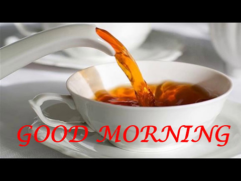  Good morning messages for whatsapp free