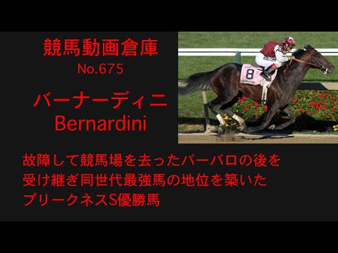 【競馬】バーナーディニ　Bernardini【No 675】
