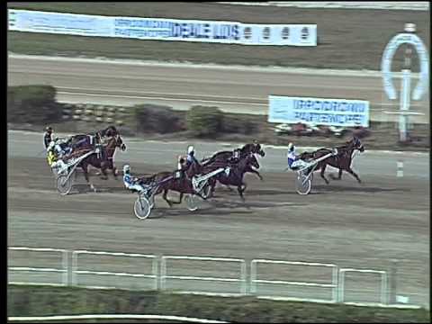 Trotto 13/09/2015 - 2° prova di qualifica