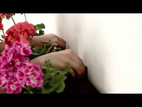 Wall Support for Minigarden Vertical