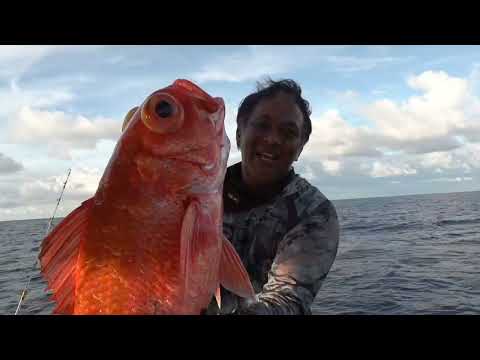 J Master 2023 Premium Jigging Style