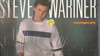 Steve Wariner ~ When Is It All Gonna End (Vinyl)