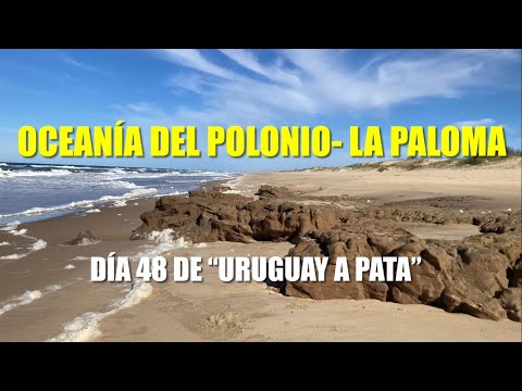 Oceanía del Polonio- La Paloma “a pata”, primera parte, (Día 48 de “Uruguay a pata)