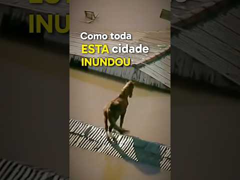 8 dias de DILÚVIO no Brasil 😳☔️ #enchente #canoas #riograndedosul #natureza