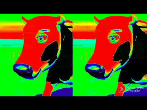 Lola the cow duplicate cow effects, Songs from the Zeñon farm 2, Lola the cow sound variation.