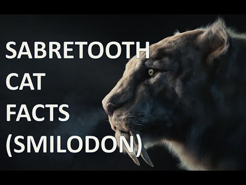 The Sabretooth Tiger (Smilodon) quick facts.