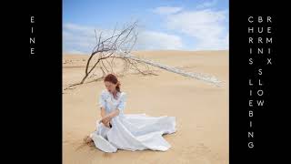 Goldfrapp - Everything Is Never Enough (Chris Liebing Burn Slow Remix)