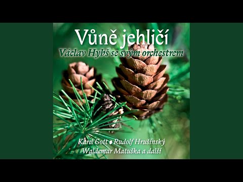 Už záhy přijde vzácná noc (Der Heiland ist geboren)