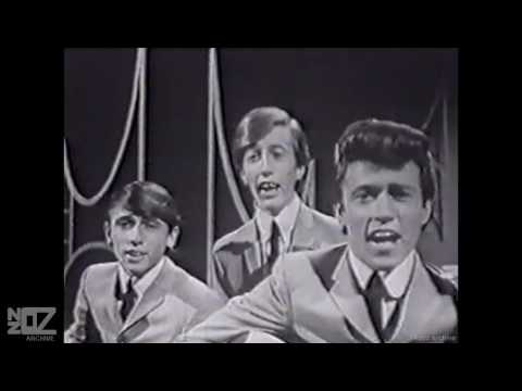 The Bee Gees - Wine & Women (1965)
