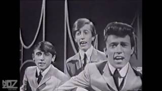 The Bee Gees - Wine &amp; Women (1965)