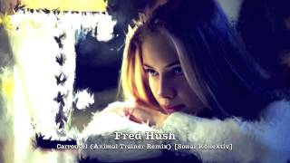 Fred Hush - Carrousel (Animal Trainer Remix) [Sonar Kollektiv]