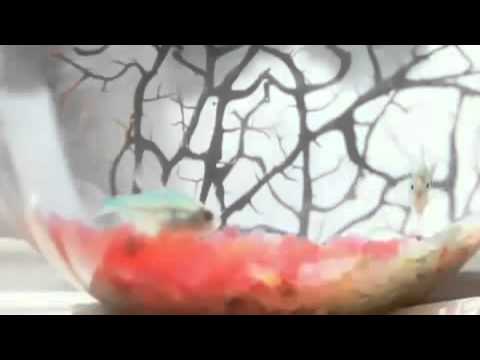 [MV] SeeYa ft Lee HaeRi (Davichi)  You're All Grown Up