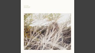 The Case of Louis Warren