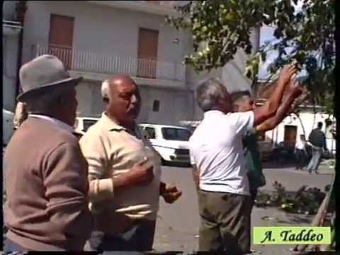 1992 02 Accettura Il Maggio Preparazione Cima