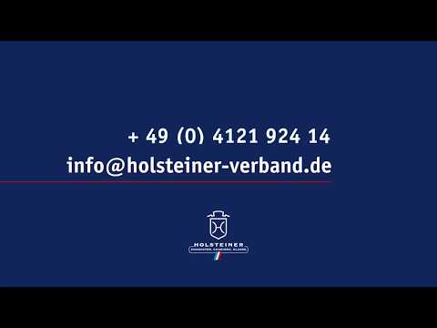 Turnierimpressionen | Adagio de Talma in Fehmarn