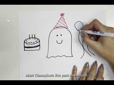 Ctenophora Backup Video