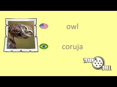 Pássaros em Inglês - Birds in Portuguese