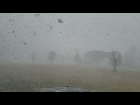 Snow Squall in Quakertown PA Part 3 2/19/22 2:12 PM
