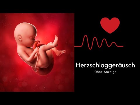 Mutterleib Geräusche ohne Anzeige | Baby Einschlafhilfe | Herzschlag 3 Stunden