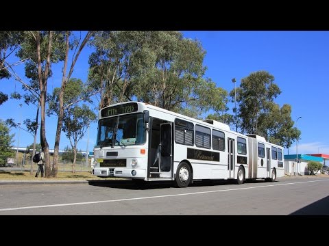 TV 8131: Mercedes-Benz O305G (PMCSA) - HCVA Bankstown Coaches Tour 2015