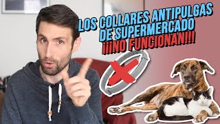 ¿Cuál es el mejor antipulgas para gatos y perros? ¿Por qué no todos funcionan?