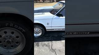 1984 Ford Mustang Modified GT350 Idling and Rev Part 2