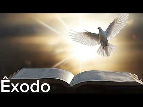 Bíblia em Áudio em Português - Êxodo (COMPLETO) - Nova Almeida Atualizada (NAA)