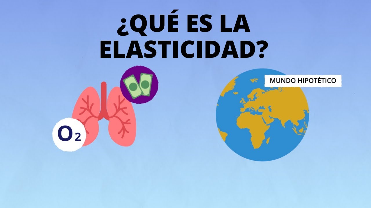 ¿Qué es la elasticidad?