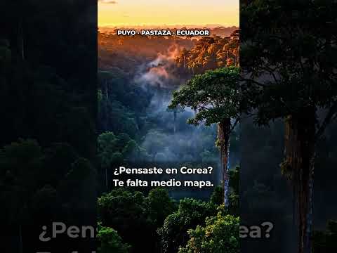 Puyo NO es coreano 🇪🇨