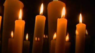 Happy Holidays from TVbyGIRLS.mov