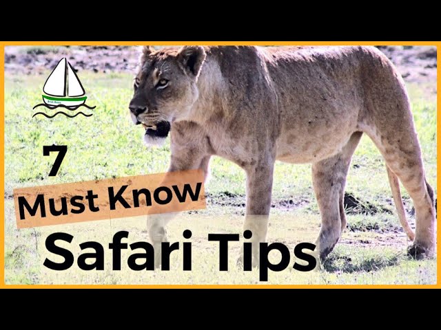Tanzania Safari Tips- (Exploring the Serengeti, Ngorongoro Crater, Manyara,Tarangire National Parks)