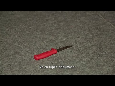 KASVOIHIN PUUKOTUS Poliisit Savonlinna