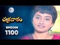 Episode 1100 Chakravakam Telugu Daily Serial Manjula Naidu Loud Speaker