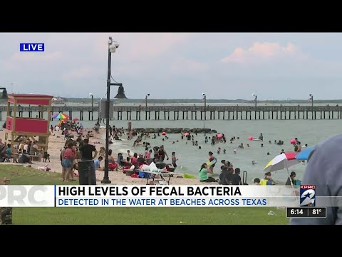 Here's How Texas Beachgoers Reacted After The Local News Told Them There Was Unsafe Fecal Bacteria Levels In The Water