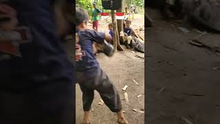 Download lagu kerasukan DEMIT BANTENG SURO lereng semeru!! barongan angker #bantengan#jarankepang  #barongan mp3