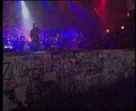 ZIYO - Magiczne słowa